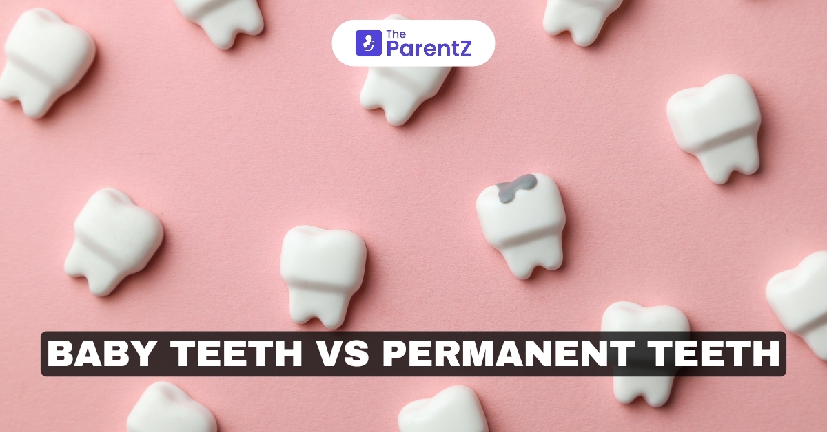 Baby Teeth vs. Permanent Teeth: Key Differences