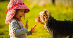 Overcoming Fear of Dogs in Kids: A Compassionate Approach