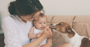 Introducing Pets to a New Baby: Making a Smooth Transition