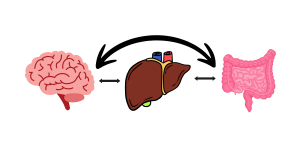 Liver-Gut-Brain Axis Disorders in Children: Insights, Incidence, and Implications