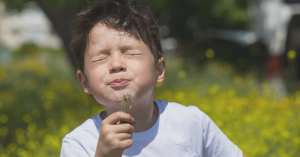 The Impact of Allergies on Your Daily Life