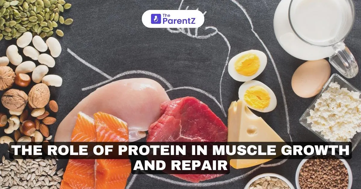 The Role of Protein in Muscle Growth and Repair