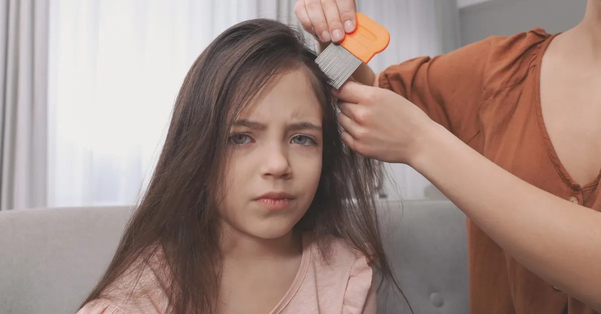 Head Lice: The Unwanted Guests in Your Child's Hair