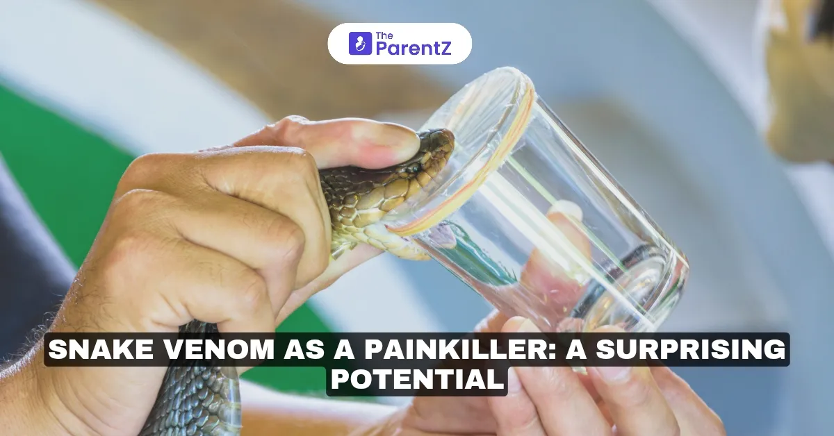 Snake Venom as a Painkiller: A Surprising Potential in Modern Medicine