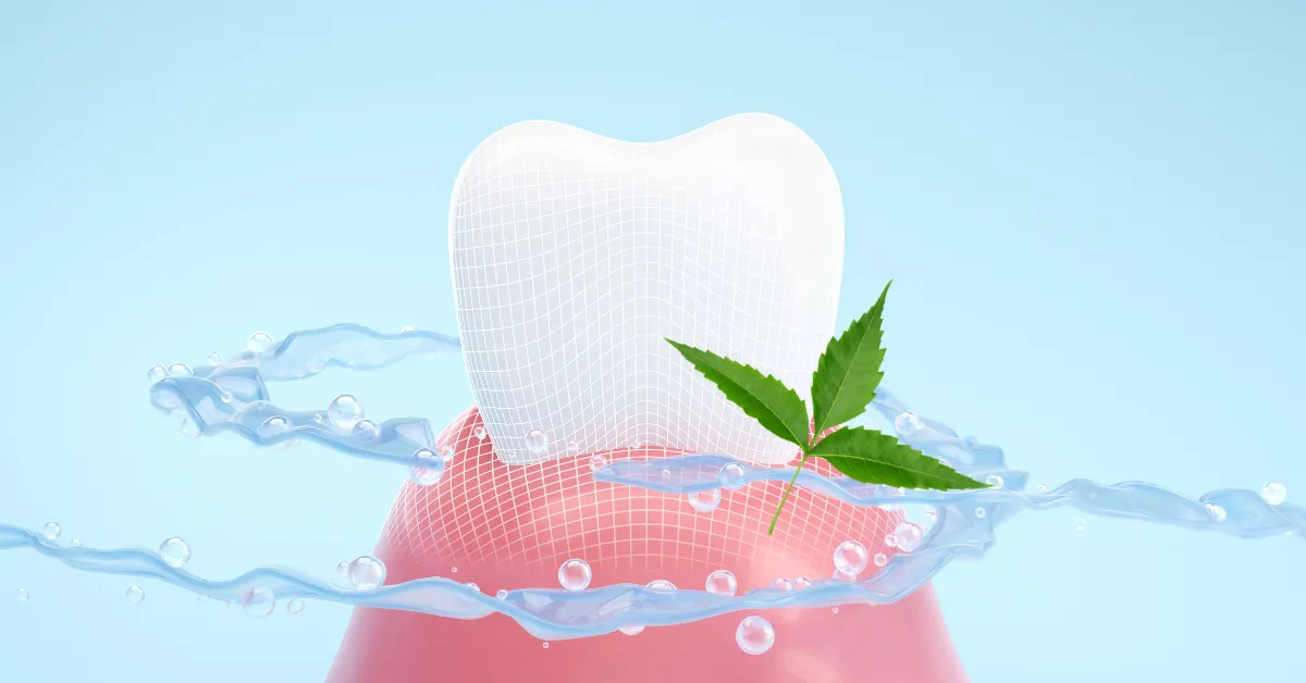 The Power of Neem: Usage in Dental Care for Stronger Teeth and Healthier Gums