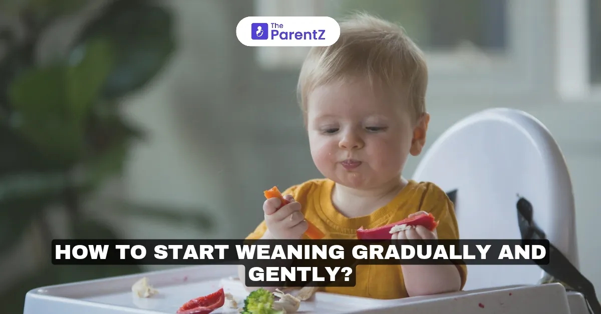 How to Start Weaning Gradually and Gently?