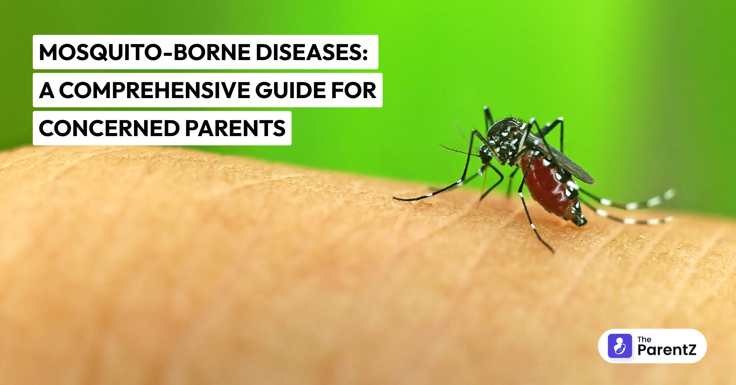 Mosquito-Borne Diseases: A Comprehensive Guide for Concerned Parents