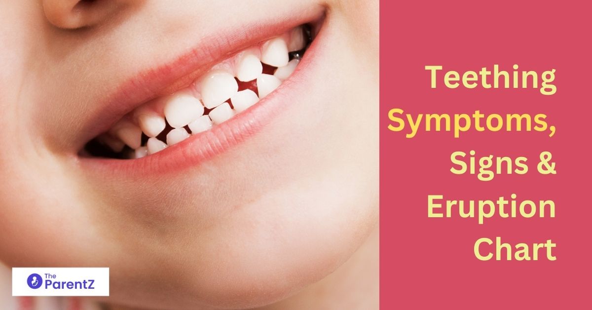 When do children get teeth? Teething Symptoms, Signs & Eruption Chart