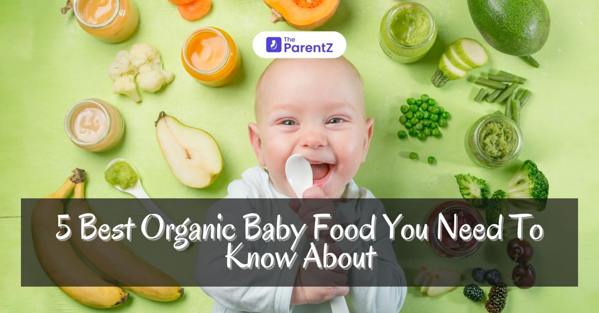 5 Best Organic Baby Food You Need To Know About