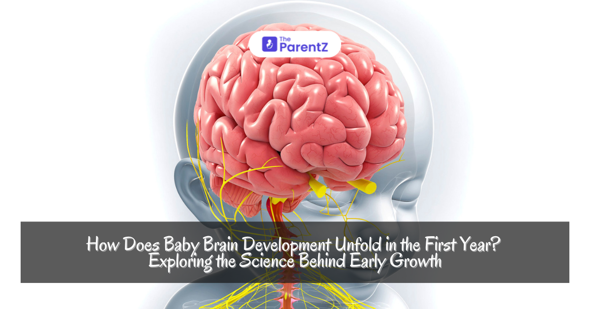 How Does Baby Brain Development Unfold in the First Year? Exploring the Science Behind Early Growth